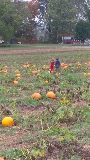 Preschool Pumpkin Patch Field Trip – Wee Cherish
